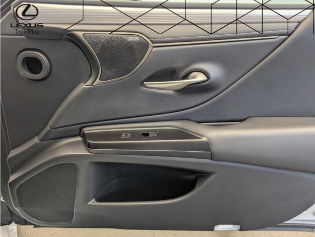 LEXUS ES 300h Luxury Line F SPORT
