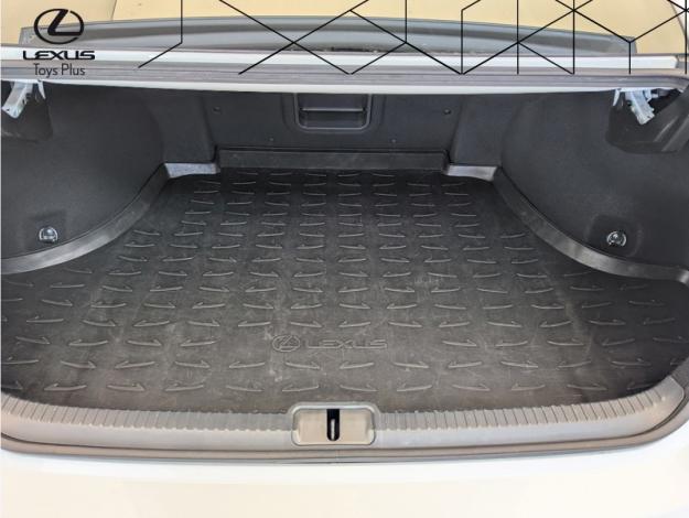 LEXUS ES 300h Luxury Line F SPORT