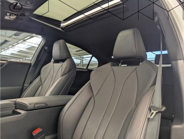 LEXUS ES 300h Luxury Line F SPORT