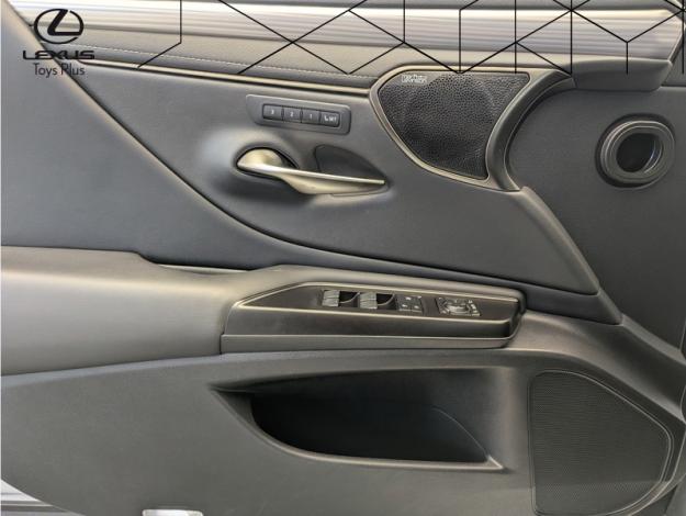 LEXUS ES 300h Luxury Line F SPORT