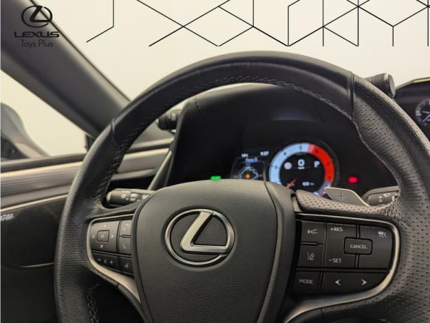 LEXUS ES 300h Luxury Line F SPORT