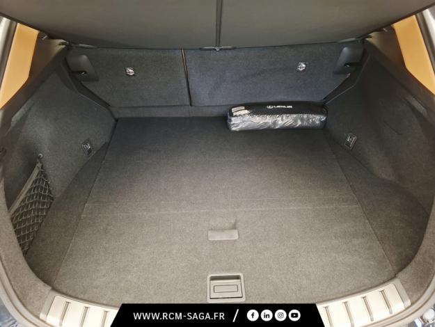 LEXUS NX 450h+ E-Four F Sport 
