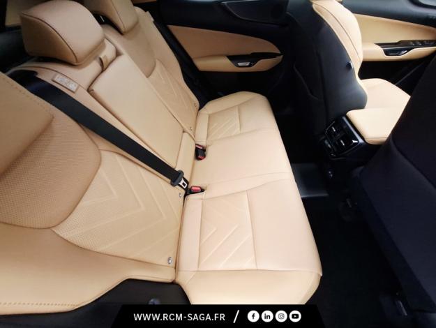 LEXUS NX 450h+ E-Four F Sport 