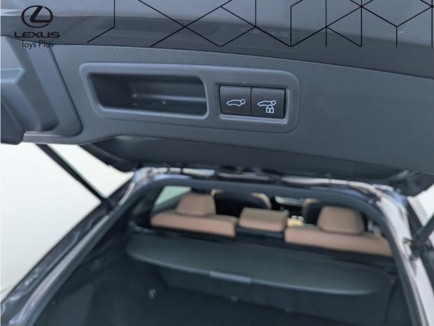 LEXUS RX 450h+ Luxe 4WD  Pack Techno