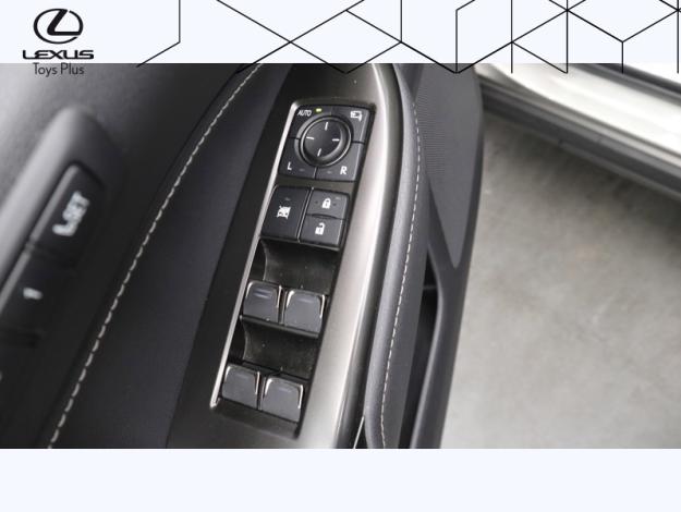 LEXUS NX 450 h+ 4WD Executive 