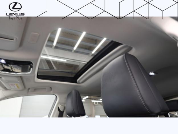 LEXUS NX 450 h+ 4WD Executive 