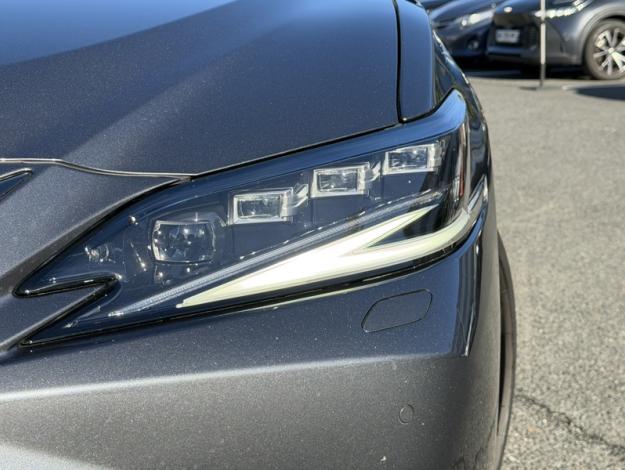 LEXUS ES 300H F SPORT EXECUTIVE  