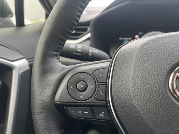 TOYOTA RAV4 218h lounge  