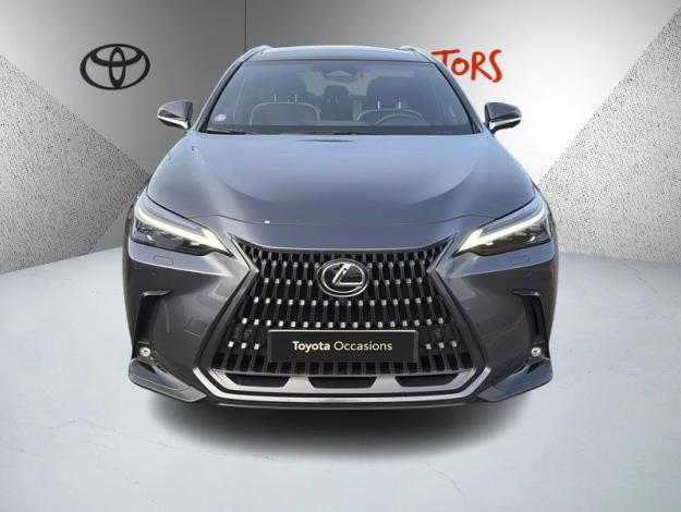 LEXUS NX 350h Luxe pack design  