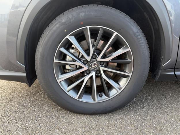 LEXUS NX 350h Luxe pack design  