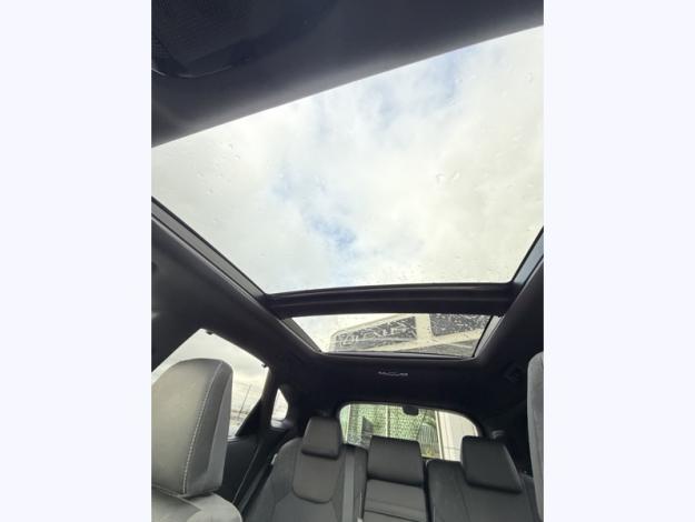 LEXUS RX 450h+ PHEV Executive 4WD MY26  RX 450H+ PHEV 4WD EXECUTIVE MY26