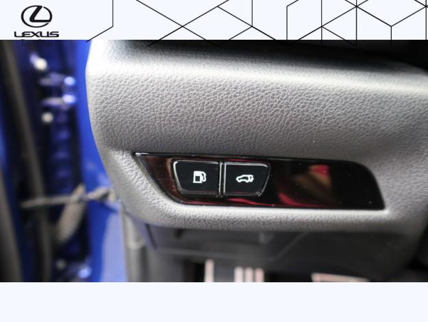 LEXUS NX 2.5 450H+ F SPORT EXECUTIVE 4WD MY24  