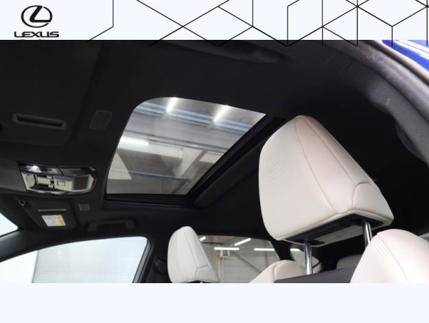 LEXUS NX 2.5 450H+ F SPORT EXECUTIVE 4WD MY24  