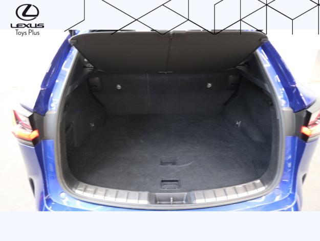 LEXUS NX 2.5 450H+ F SPORT EXECUTIVE 4WD MY24  