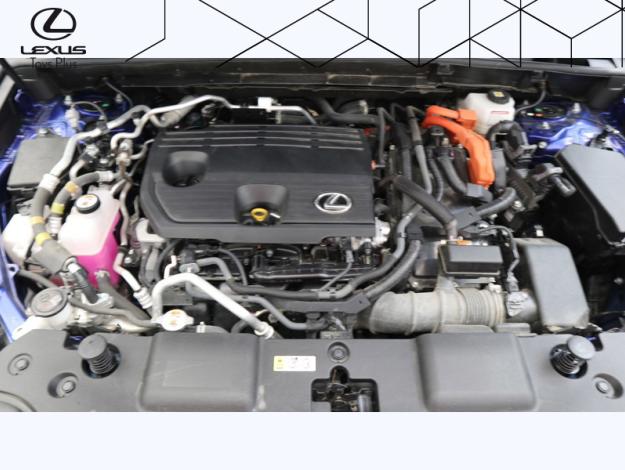 LEXUS NX 2.5 450H+ F SPORT EXECUTIVE 4WD MY24  