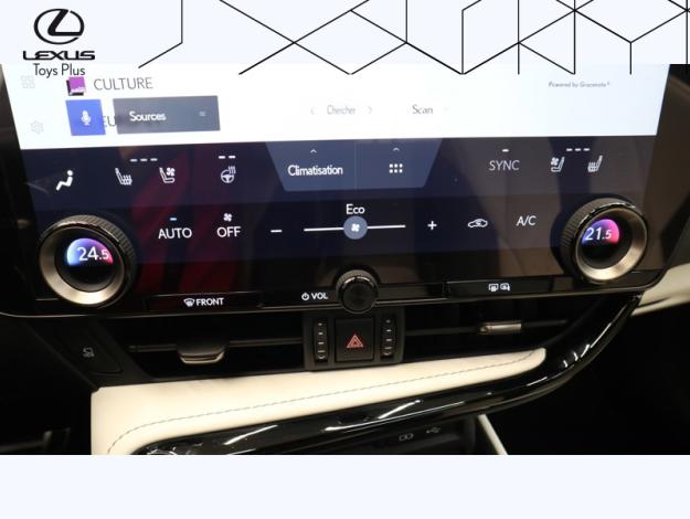 LEXUS NX 2.5 450H+ F SPORT EXECUTIVE 4WD MY24  