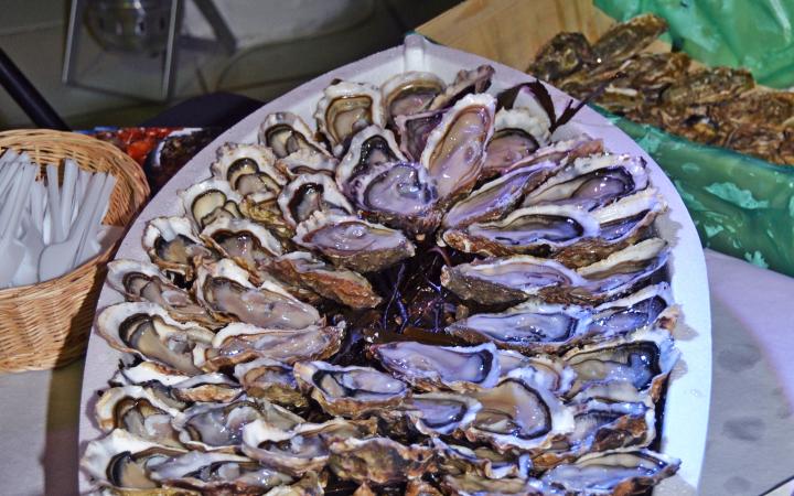 C’est Noël avant l’heure  !