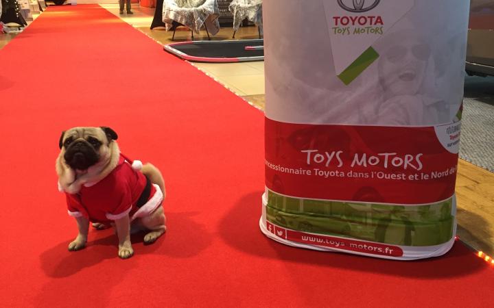 Marché de Noël Toyota Toys Motors