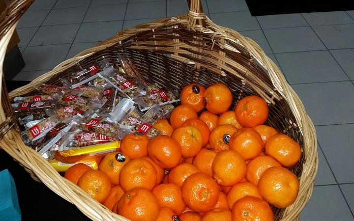 Du sport à la concession de Boulogne-sur-Mer