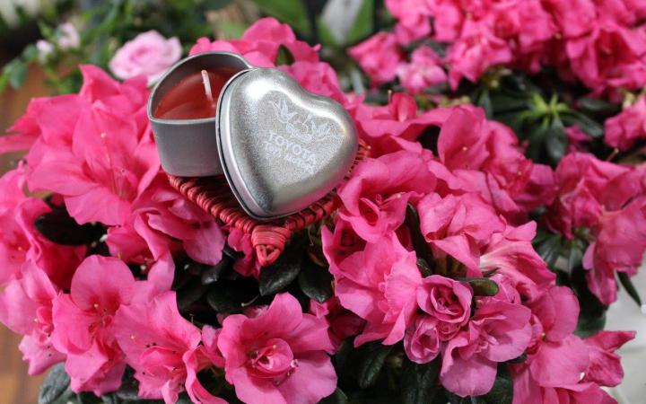 Toys Motors vous a gâté pour la Saint Valentin !