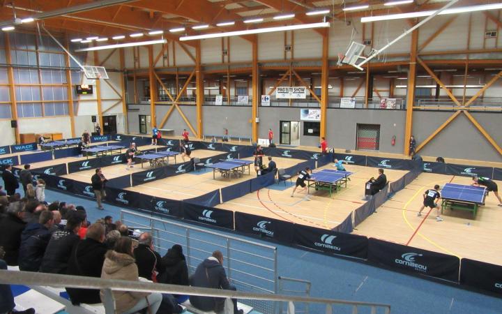 Soirée Ping Pong Elite Show