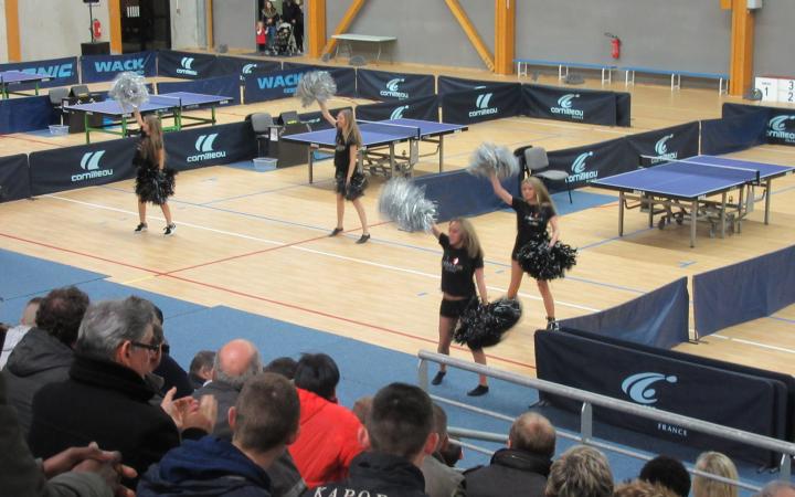 Soirée Ping Pong Elite Show