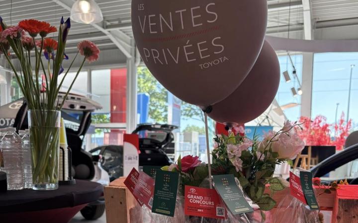 Les ventes privées chez Toys Motors