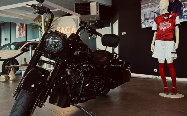 Freedom Business by Harley Davidson