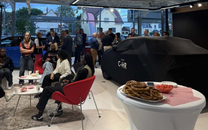 Toys Motors Haguenau X Les Pinks