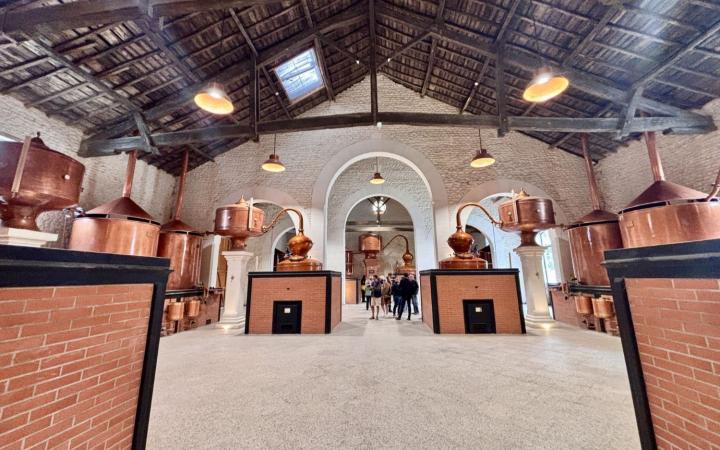 Toys Saintes - Citadelle du Gin