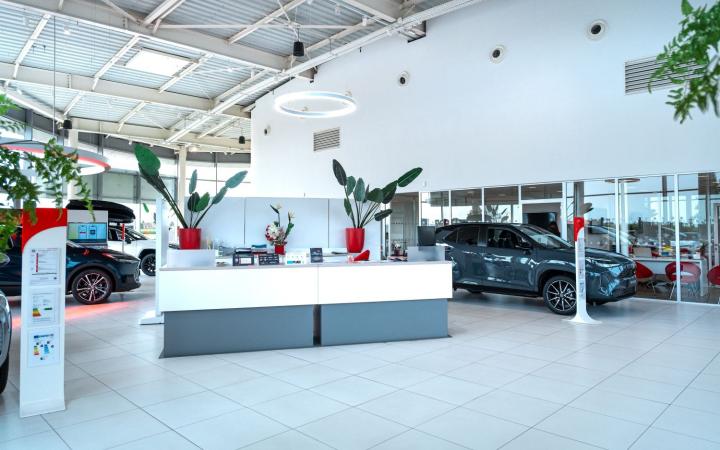 Toys Motors Colmar