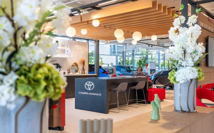 Toys Motors Haguenau