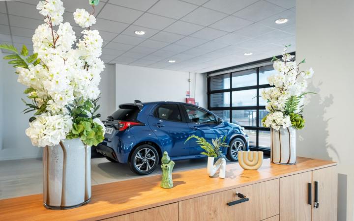 Toys Motors Haguenau