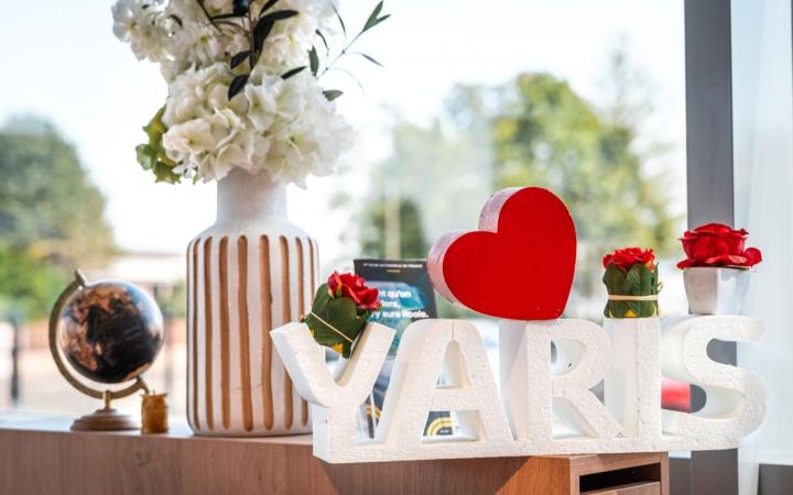 Toys Motors Haguenau