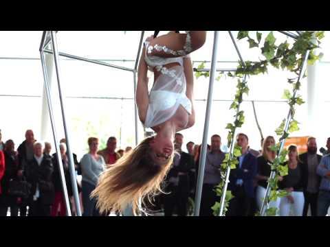 Promenons-nous dans les bois...