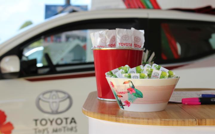 Toys Motors Saint-Omer : Hybride, ptit punch et cocotiers