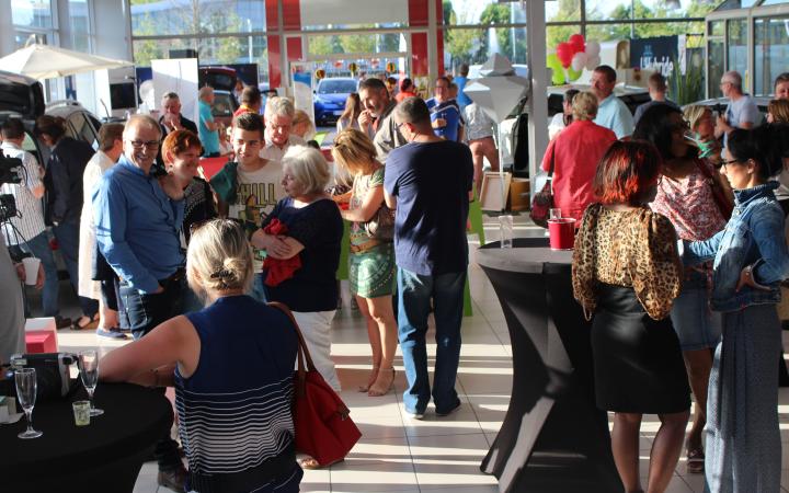 Toys Motors Saint-Omer : Hybride, ptit punch et cocotiers