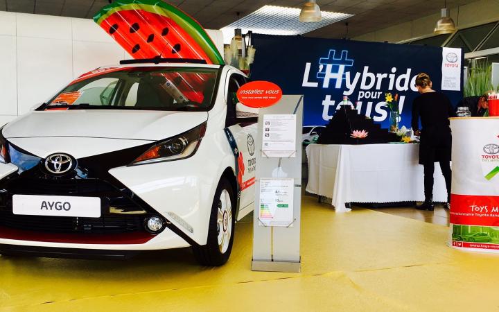 Toys Motors Saint-Omer : Hybride, ptit punch et cocotiers