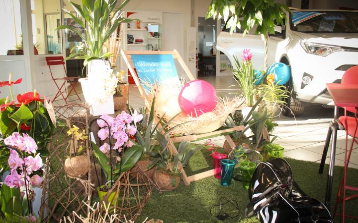 Toys Motors Saintes : L'hybride sous les tropiques