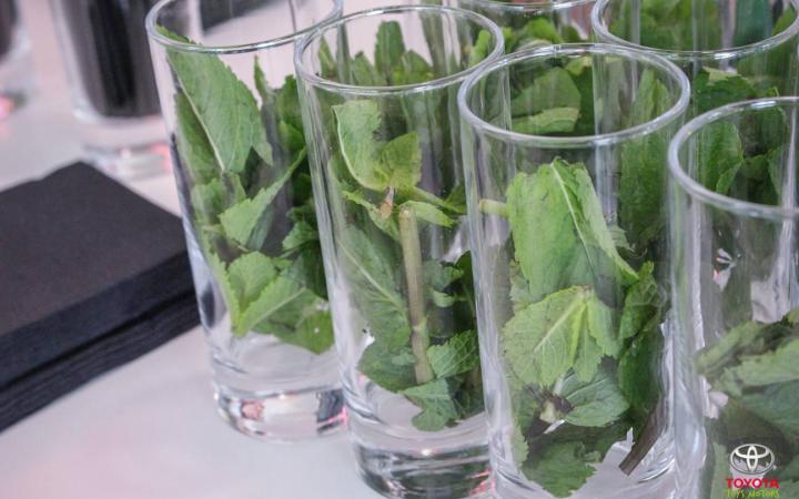 Toys Motors Rouen : Nouveau Showroom et ambiance estivale