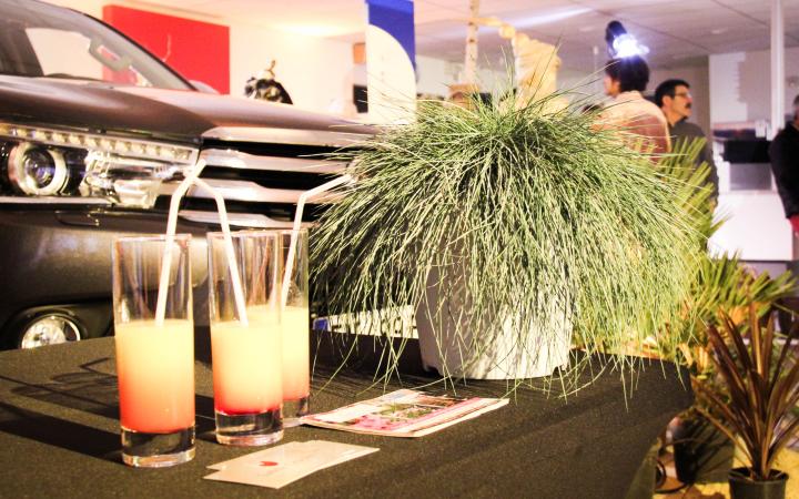 Toys Motors Rochefort : danse, chaleur et sourires