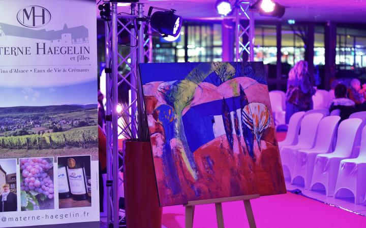 Toys Motors Mulhouse : défilé de mode Collection