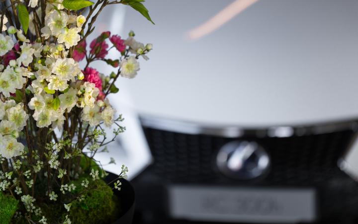 Lexus Epinal
