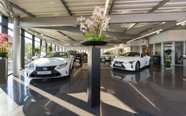 Lexus Epinal