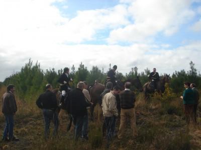 UNE JOURNEE AU VERT!