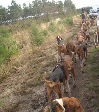 UNE JOURNEE AU VERT!