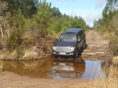 UNE JOURNEE AU VERT!