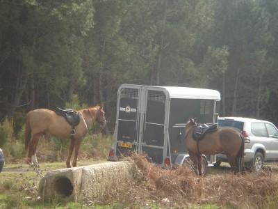 UNE JOURNEE AU VERT!