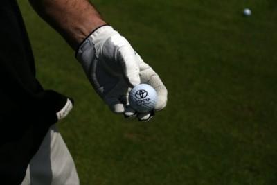 GOLF DE LA DOMANGERE