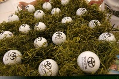 GOLF DE LA DOMANGERE